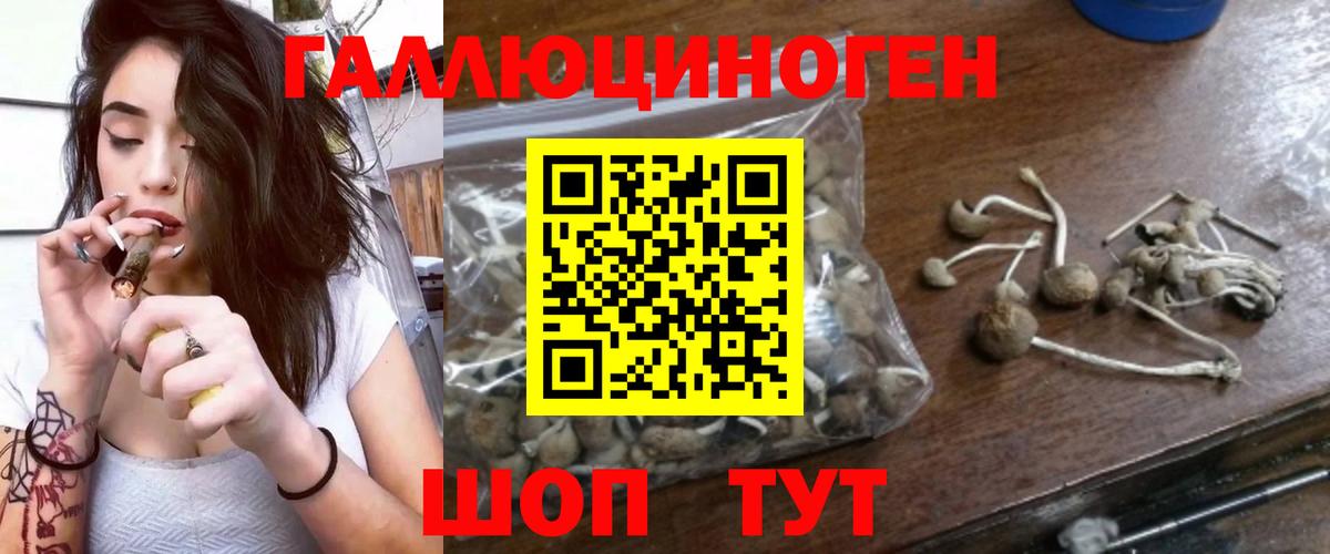 Псилоцибиновые грибы Magic Shrooms Кыштым